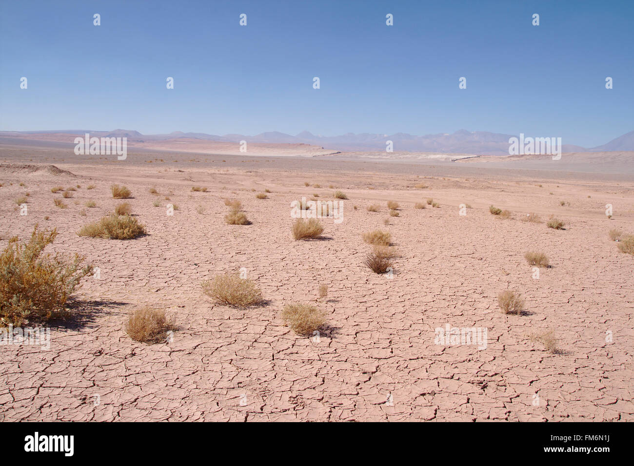 La boue des fissures dans le désert d'Atacama près de Valle de la Luna, Chili Banque D'Images