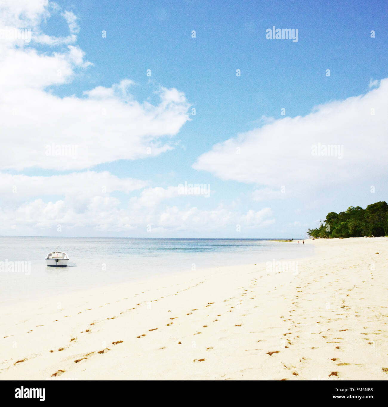 Green Island, Queensland, Grande Barrière de Corail, Australie Banque D'Images
