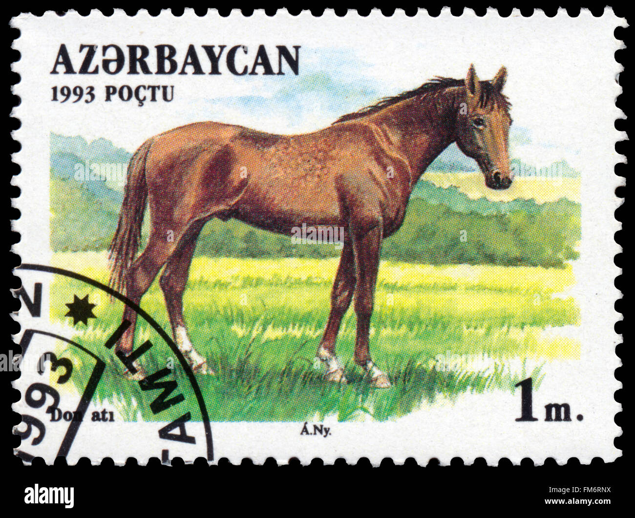 BUDAPEST, HONGRIE - 29 février 2016 : un timbre imprimé en Azerbaïdjan montre une Akhaltekin brown, Akhal-Teke horse race, vers 19 Banque D'Images