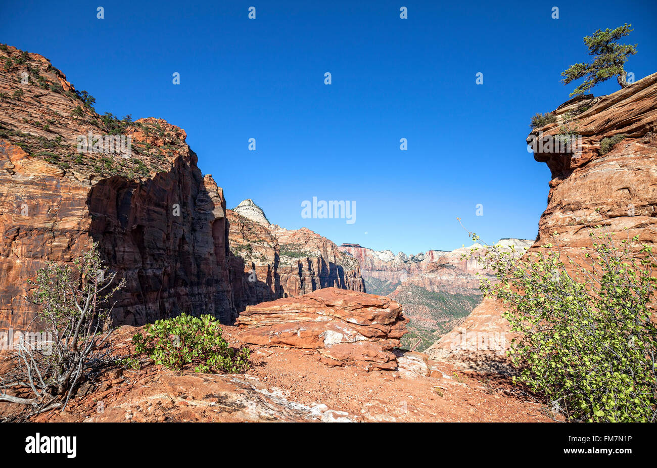 Paysage sauvage dans la région de Zion National Park, Utah, USA. Banque D'Images