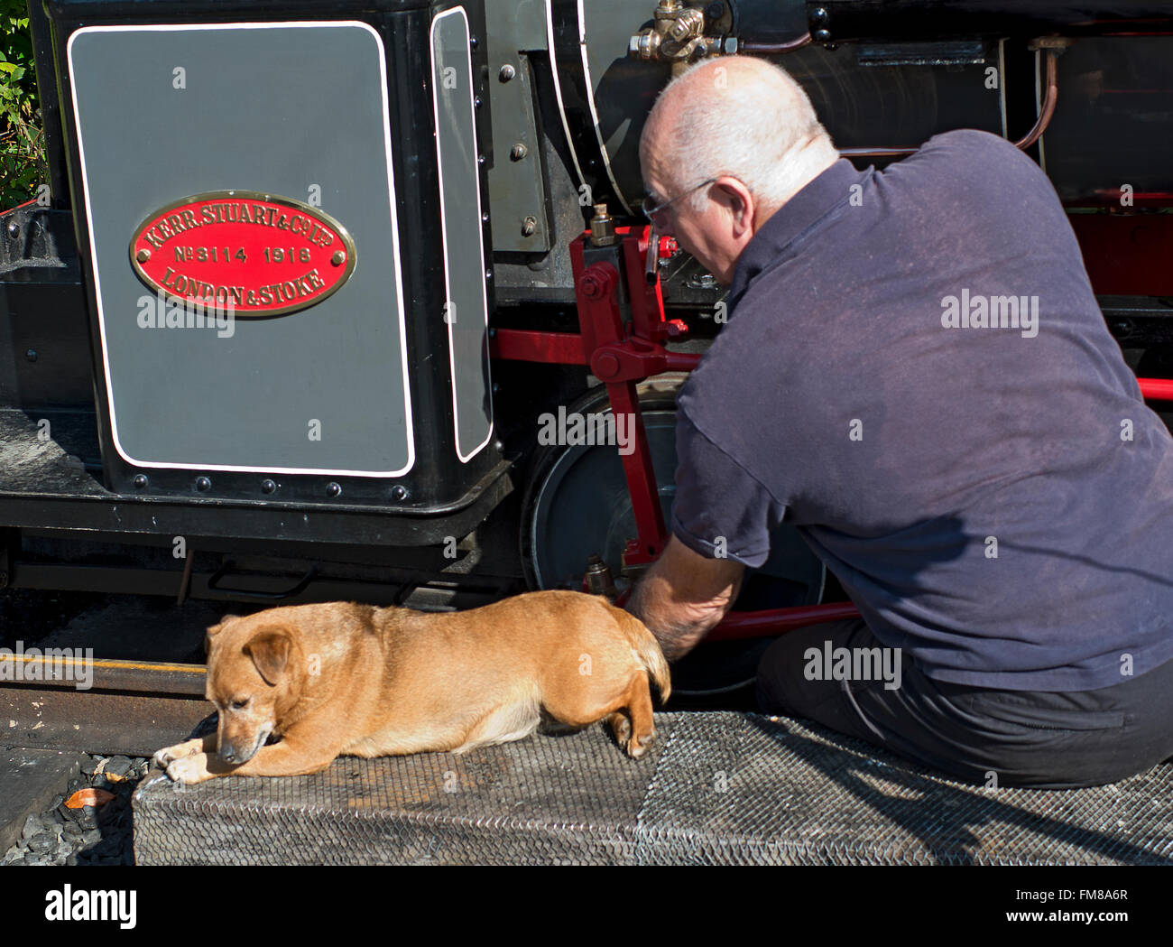 Passionné de chemin de fer Pont du Diable dans le Nord du Pays de Galles avec son chien. Banque D'Images
