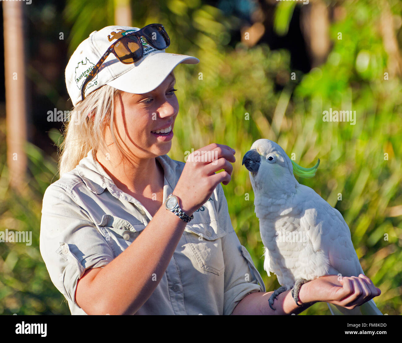 Gardien de zoo de l'Australie dont la teneur en soufre crested perruche, posant pour les touristes Queensland Australie Banque D'Images