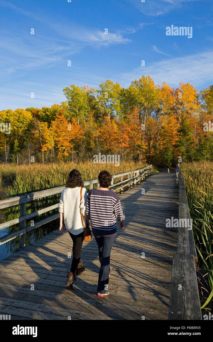 Canada, Québec, Montréal, l'Île Bizard, le parc naturel de bois de l'Ile Bizard dans les couleurs de l'automne, les randonneurs sur une passerelle en bois Banque D'Images