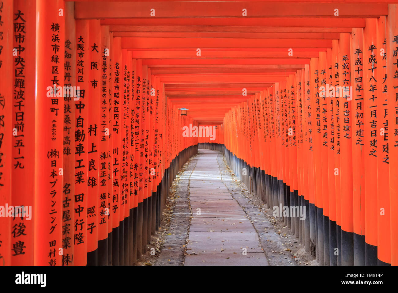 Le célèbre sanctuaire Fushimi Inari-taisha à Fushimi-ku, Kyoto, Japon Banque D'Images