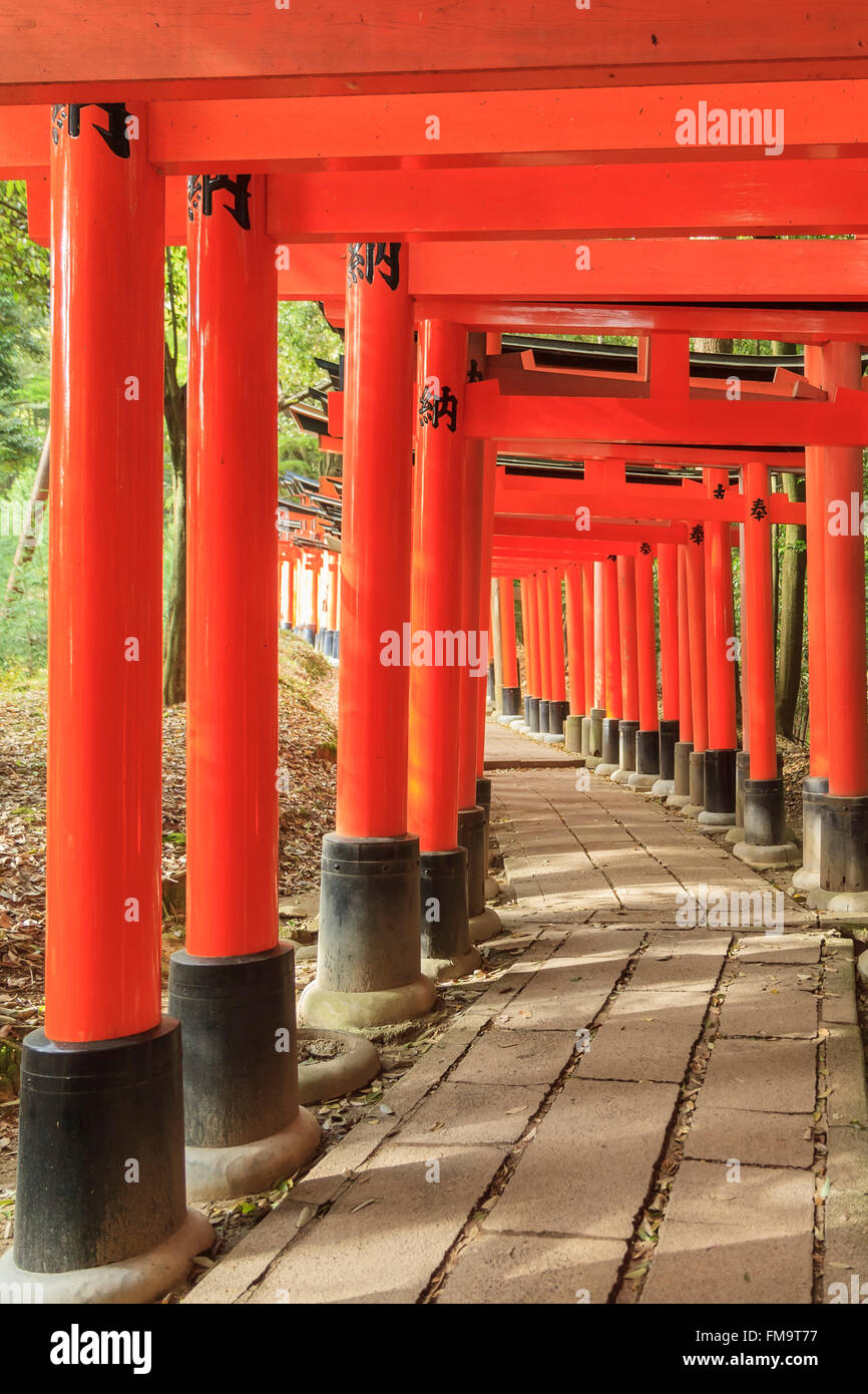 Le célèbre sanctuaire Fushimi Inari-taisha à Fushimi-ku, Kyoto, Japon Banque D'Images