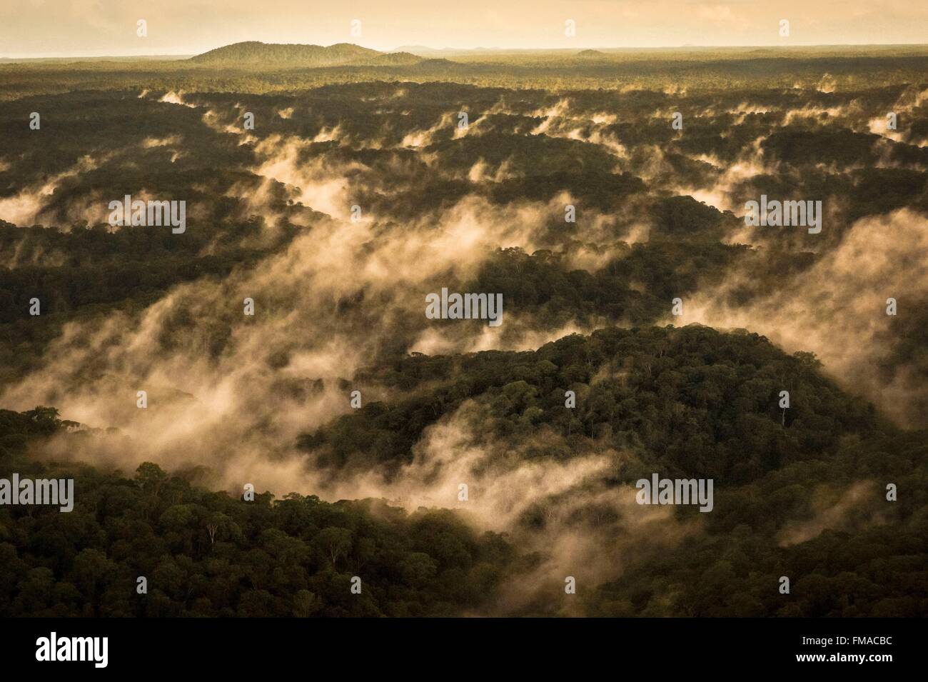 France, Guyana, Guyane Française, Parc amazonien zone cœur, le soir, le brouillard dans la forêt amazonienne Banque D'Images