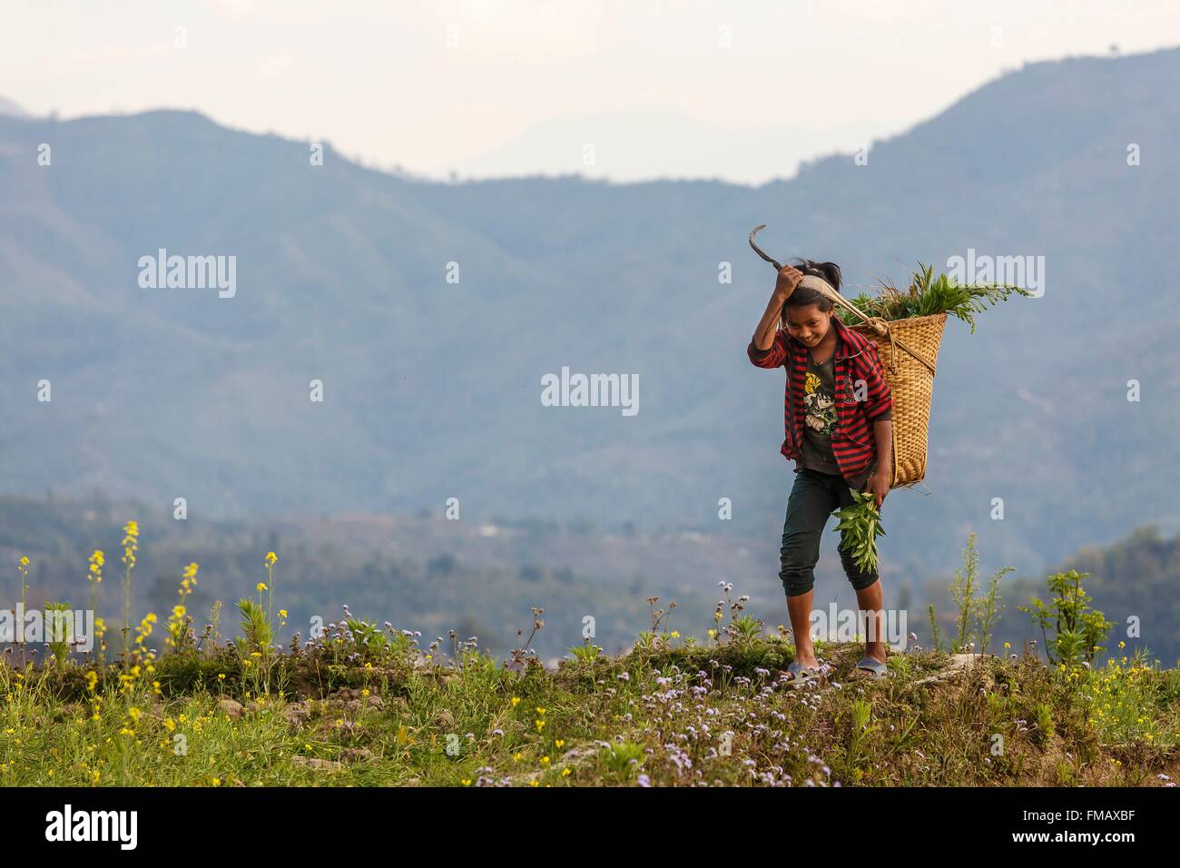 Le Népal, Gandaki zone, Gorkha, une jeune fille portant un panier Banque D'Images