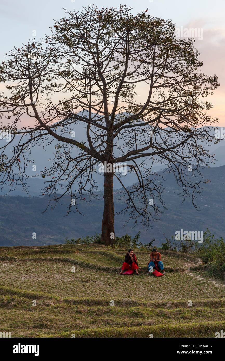 Le Népal, Gandaki zone, Gorkha, 2 femmes assis près d'un arbre Banque D'Images