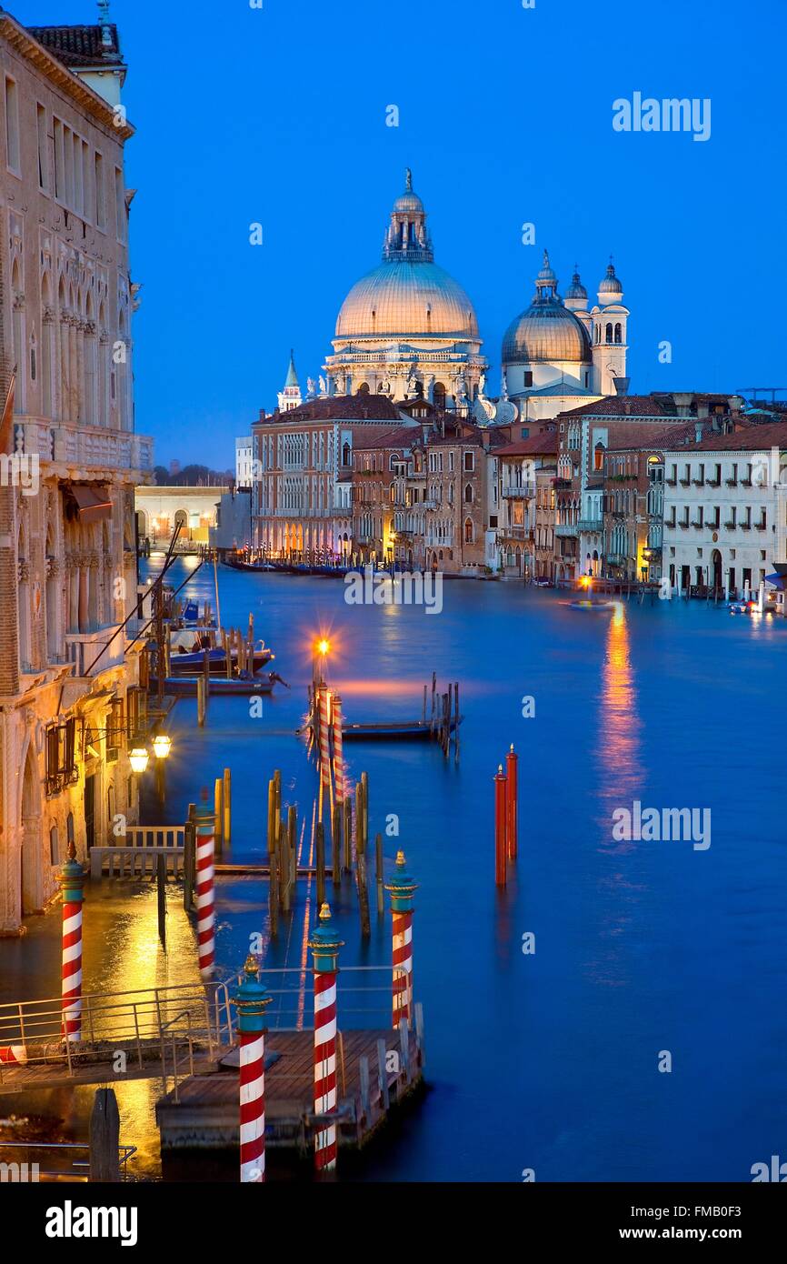 Italie, Vénétie, Venise, l'église Santa Maria della Salute et le Grand Canal au crépuscule Banque D'Images
