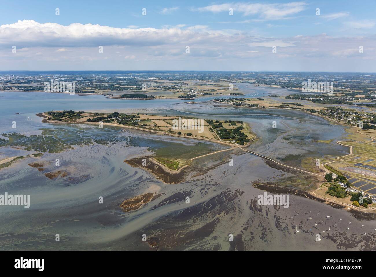 France, Morbihan, Saint Armel, Golfe du Morbihan, l'île de Tascon (vue aérienne) Banque D'Images