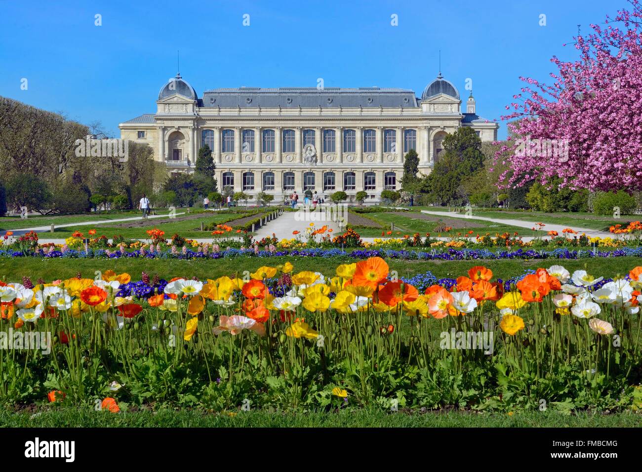 France, Paris, Musée d'Histoire Naturelle, le jardins des plantes et la Grande Galerie de l'évolution Banque D'Images