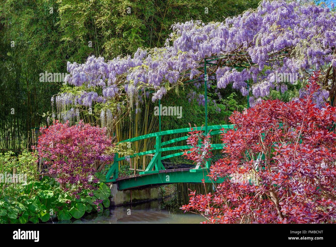 La France, l'Eure, Giverny, Claude Monet, le jardin japonais de glycine Banque D'Images