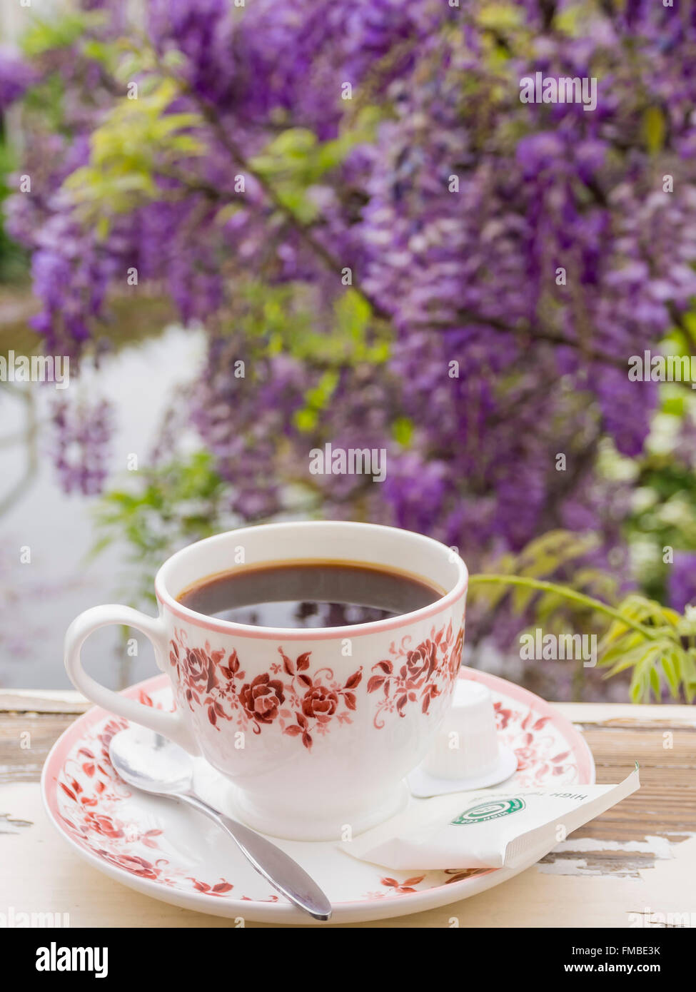 Détendez-vous avec pourpre fleur glycine et une tasse de café Banque D'Images