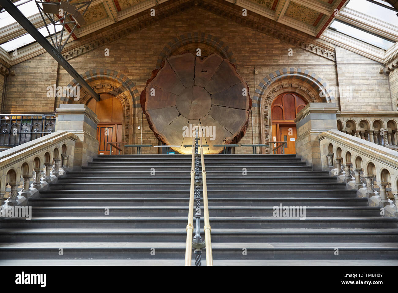 Musee D Histoire Naturelle A L Interieur Escalier Antique Et La Section De Sequoia Geant A Londres Photo Stock Alamy