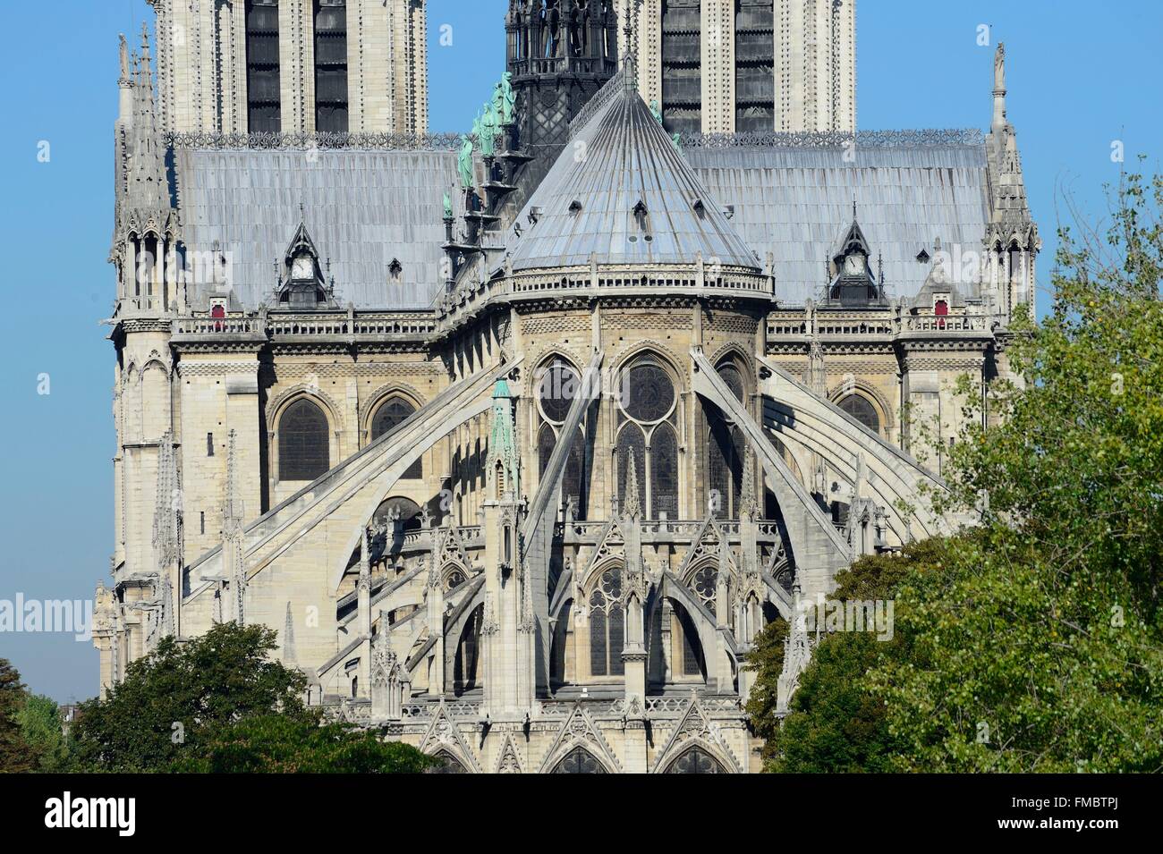 France, Paris, région classée au Patrimoine Mondial de l'UNESCO, la Cathédrale Notre Dame sur l'Ile de la Cité Banque D'Images