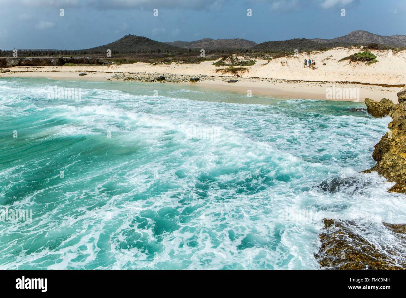 Antilles néerlandaises, Bonaire Island, Washington Slagbaai national park, plage sur la côte nord Banque D'Images