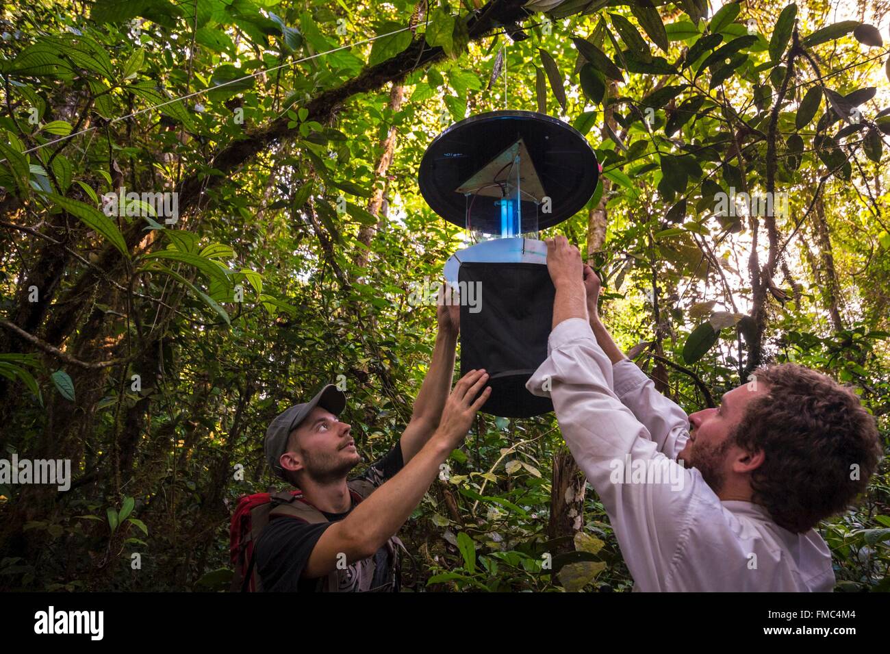 France, Guyana, Guyane Française, Parc amazonien zone cœur, Camopi, 2 d'entomologistes se préparent un piège à lumière sur le mont Itoupe Banque D'Images