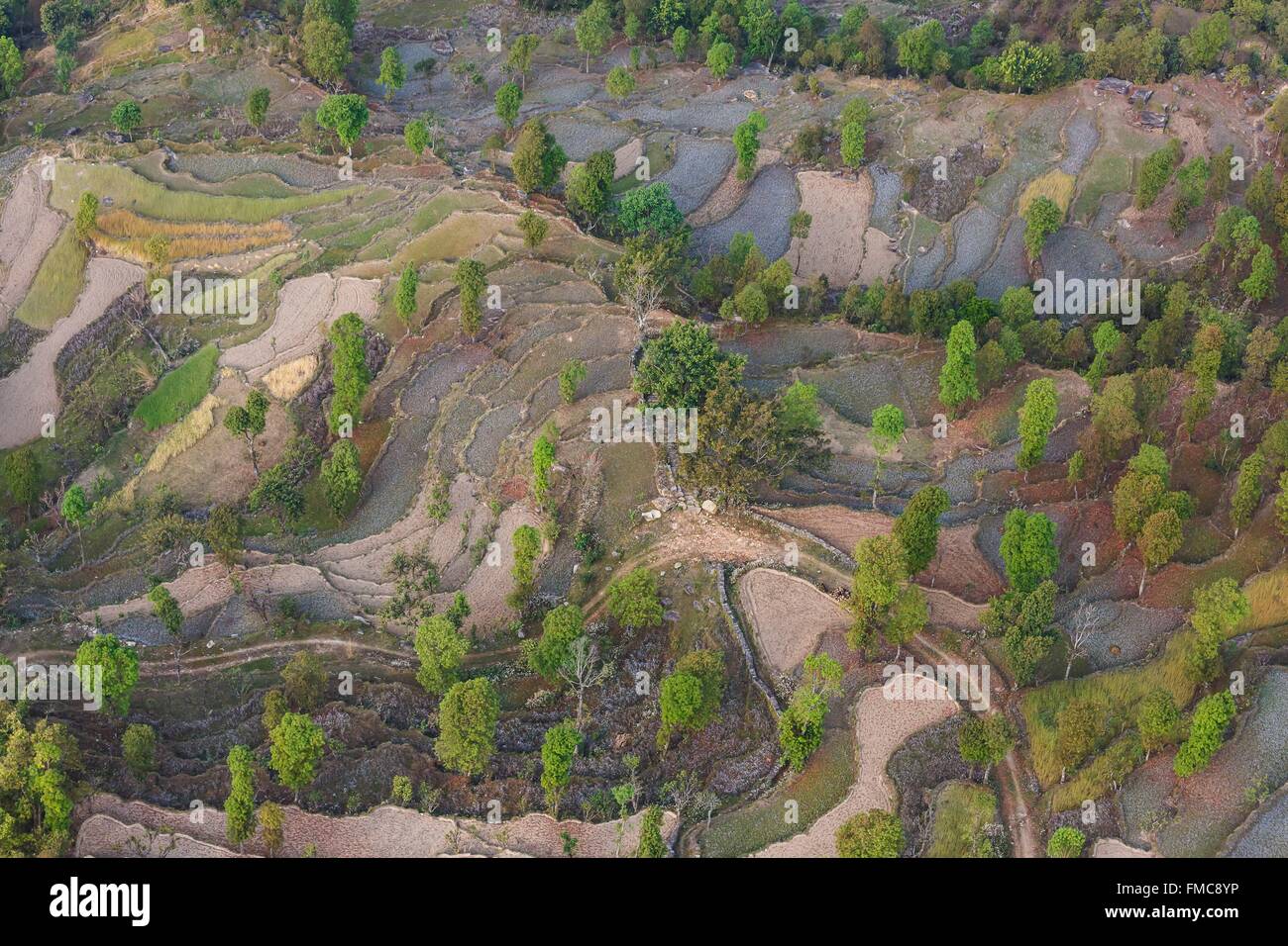 Le Népal, Gandaki zone, Pokhara, les rizières en terrasse (vue aérienne) Banque D'Images