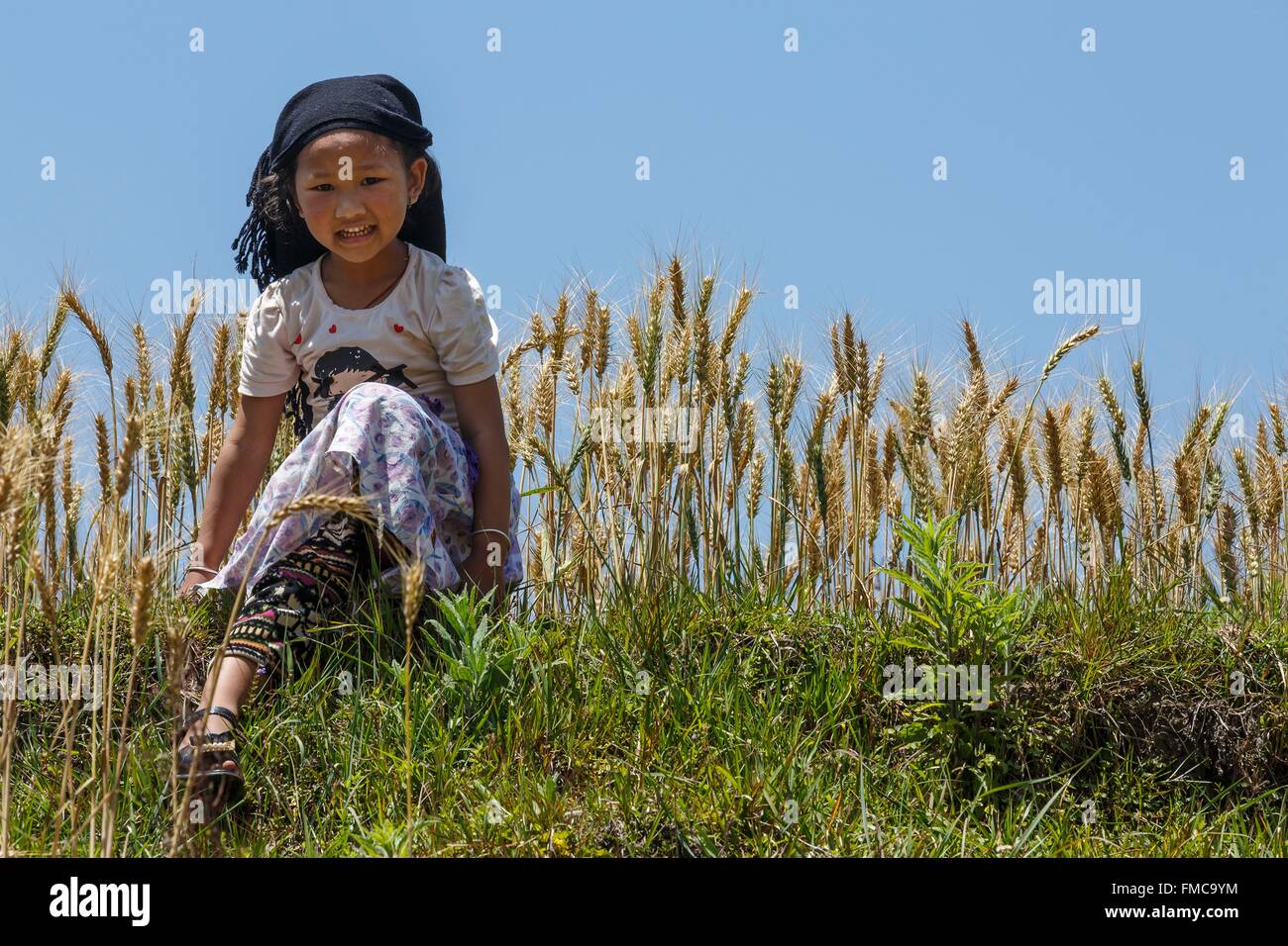 Le Népal, zone Bagmati, Chunikel, jeune fille devant un champ de blé Banque D'Images
