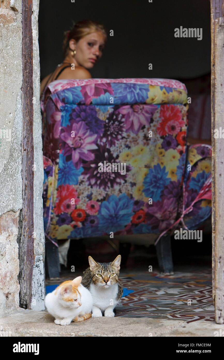 Cuba, La Havane, classée au Patrimoine Mondial de l'UNESCO, jeune femme blonde dans une chaise avec ses deux chats sur le seuil Banque D'Images