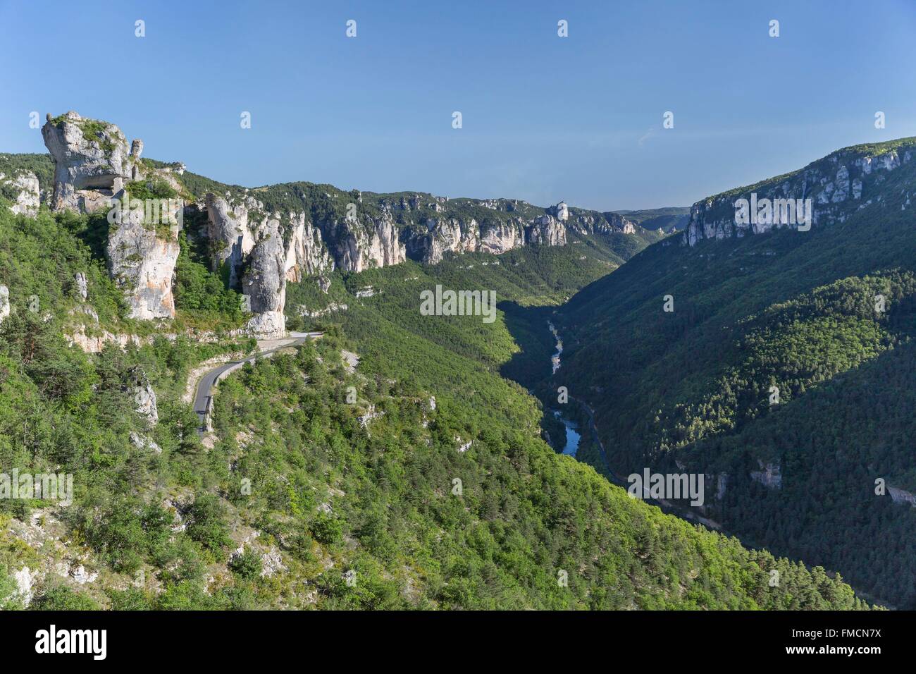 La France, la Lozère, les vignes, gorges du Tarn, le canyon entre Les Vignes et Le Rozier, les Causses et les Cévennes, Banque D'Images