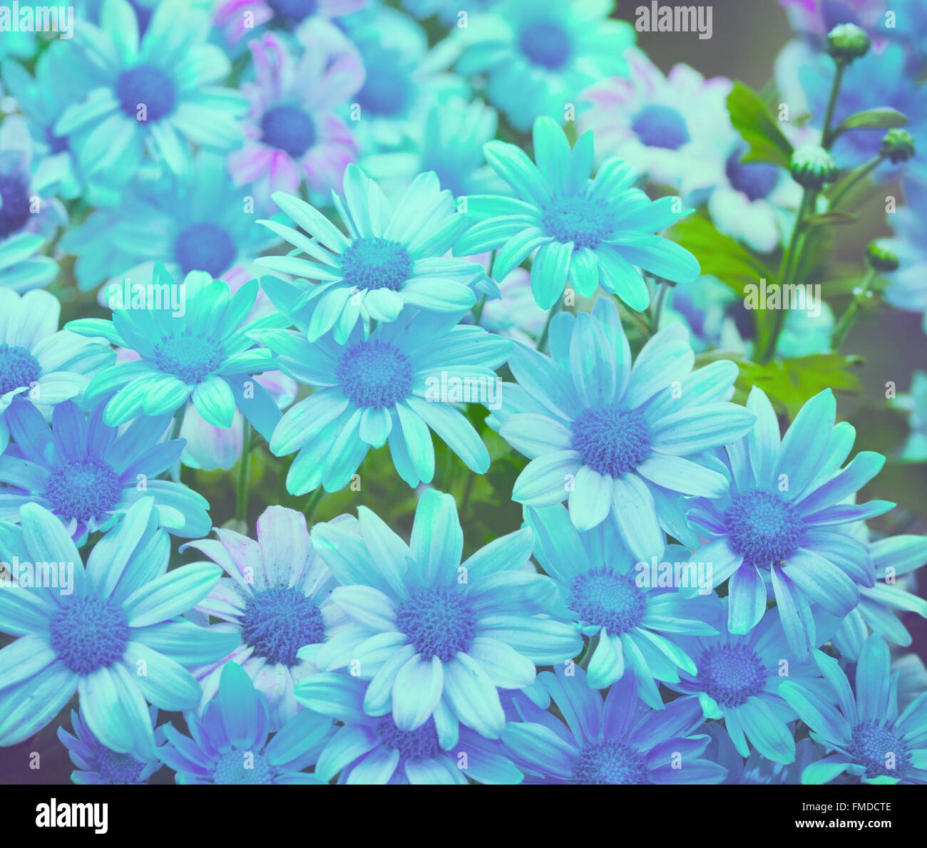 Blue vintage floral background Banque D'Images