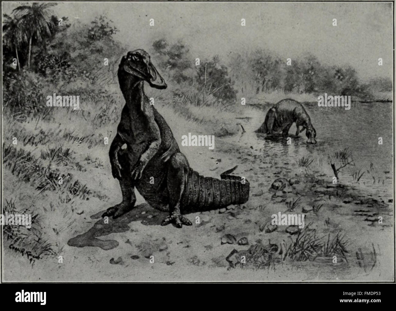 Cette publication de 1907 fournit un examen approfondi des principes de la géologie, y compris l'étude de la structure de la Terre, des matériaux et des processus qui façonnent sa surface. Banque D'Images