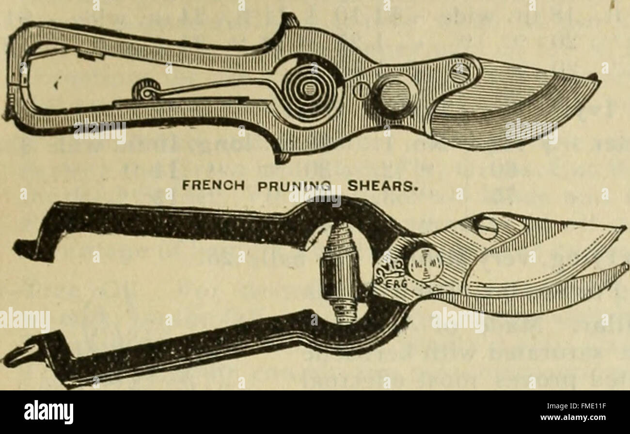 Illustrated catalogue descriptif de graines, etc. (1897) Banque D'Images