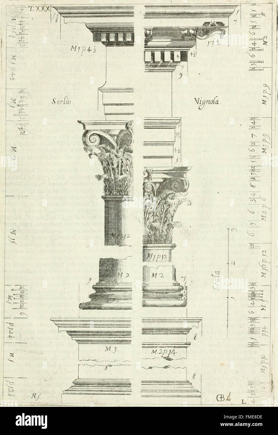Cet ouvrage, *Li cinque ordini dell'architettura civile* (les cinq ordres de l'architecture civile), de Michel Sanmicheli, présente une étude détaillée des ordres architecturaux classiques, en les comparant à ceux de Vitruve, Alberti, Palladio, Scamozzi, Serlio, et Vignola. Banque D'Images