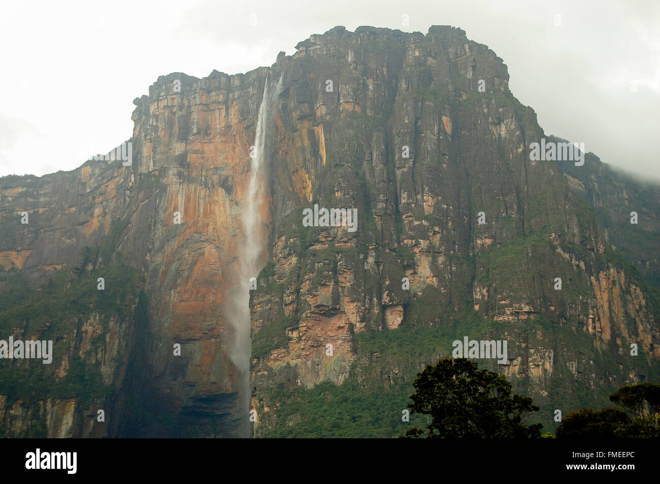 Angel Falls - Venezuela Banque D'Images