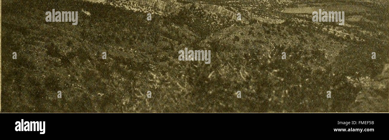 L'édition 1916 des Annales de l'Académie des sciences de New York présente la recherche scientifique et les progrès dans divers domaines, en se concentrant sur la biologie, l'écologie et les sciences naturelles. Banque D'Images