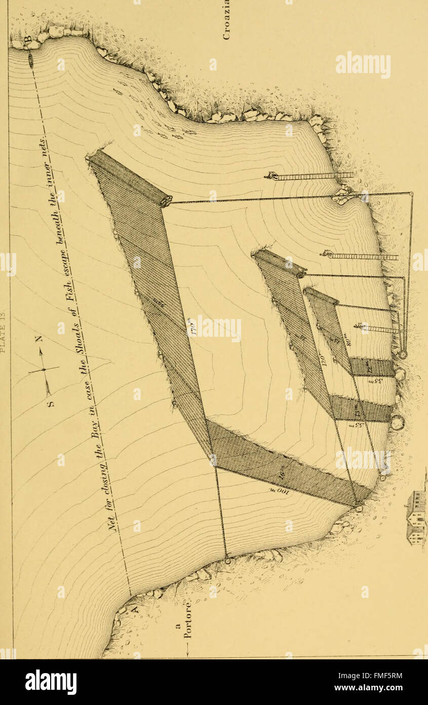 La pêche de l'Adriatique et le poisson de celle-ci - un rapport de l'Empire austro-hongrois de pêches - avec une description détaillée de la faune marine du golfe adriatique (1883) Banque D'Images