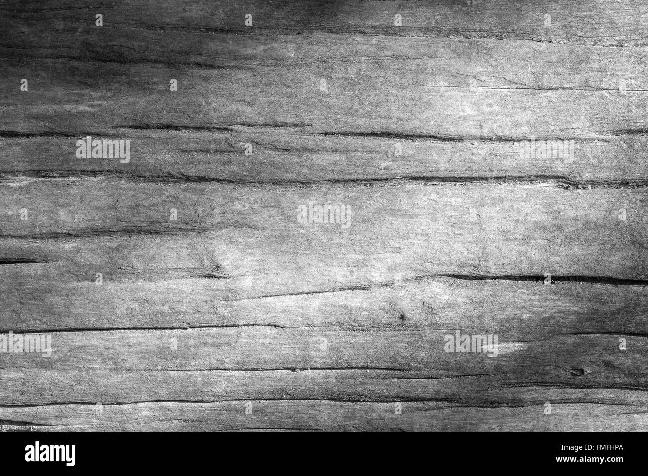 Wood Texture Background avec processus de présélection infrarouge. Banque D'Images