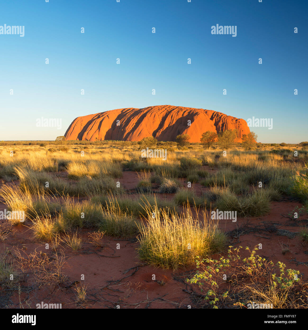 Uluru (Site du patrimoine mondial de l'UNESCO), Parc National d'Uluru-Kata Tjuta, Territoire du Nord, Australie Banque D'Images