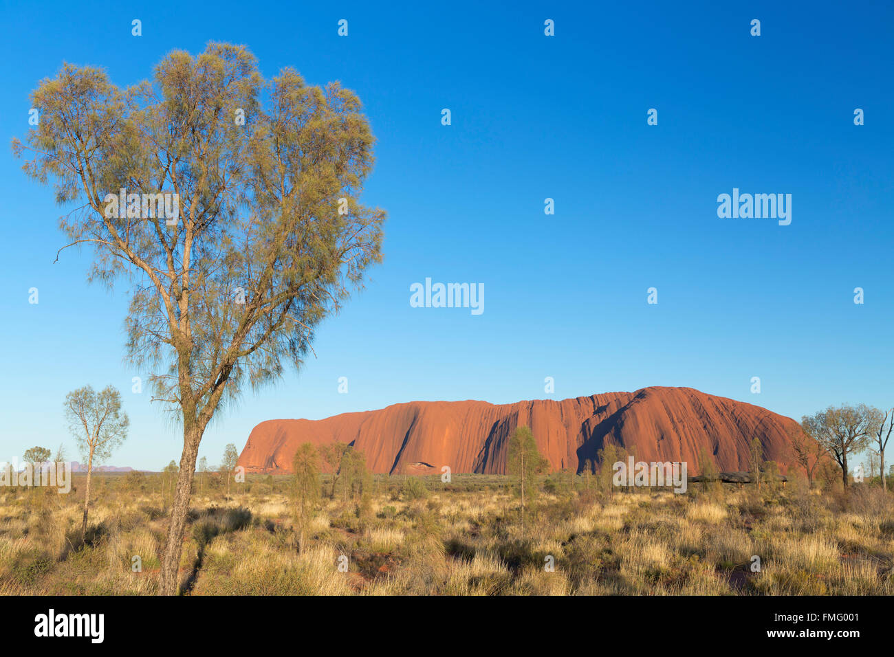 Uluru (Site du patrimoine mondial de l'UNESCO), Parc National d'Uluru-Kata Tjuta, Territoire du Nord, Australie Banque D'Images