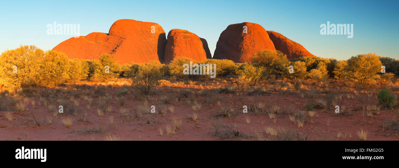 Kata Tjuta / les Olgas (Site du patrimoine mondial de l'UNESCO), Parc National d'Uluru-Kata Tjuta, Territoire du Nord, Australie Banque D'Images