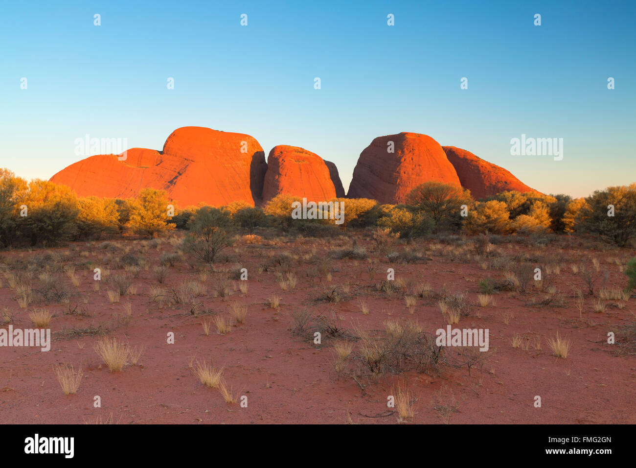 Kata Tjuta / les Olgas (Site du patrimoine mondial de l'UNESCO), Parc National d'Uluru-Kata Tjuta, Territoire du Nord, Australie Banque D'Images