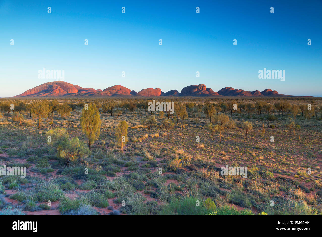 Kata Tjuta / les Olgas (Site du patrimoine mondial de l'UNESCO), Parc National d'Uluru-Kata Tjuta, Territoire du Nord, Australie Banque D'Images