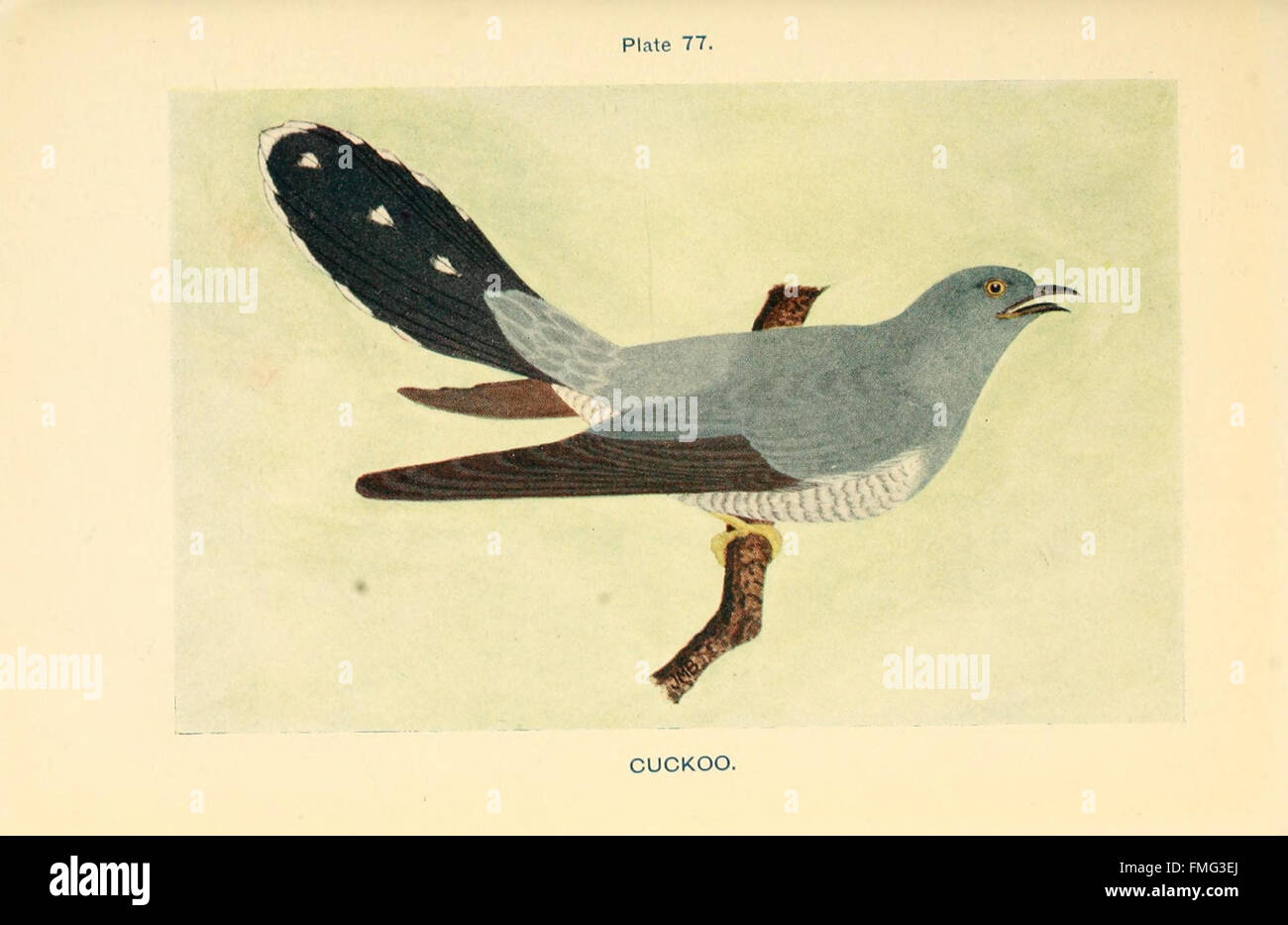 Trois Canards Volants Sur Le Vieux Mur Illustration Stock
