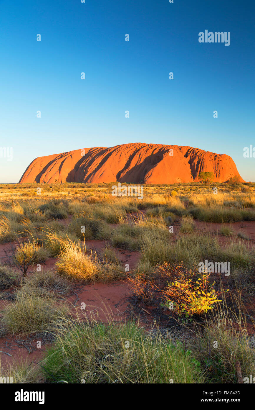 Uluru (Site du patrimoine mondial de l'UNESCO), Parc National d'Uluru-Kata Tjuta, Territoire du Nord, Australie Banque D'Images