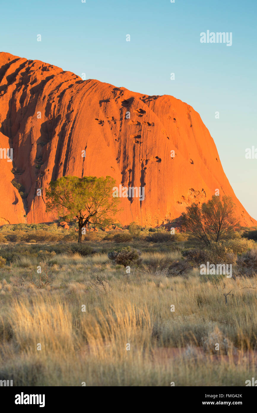 Uluru (Site du patrimoine mondial de l'UNESCO), Parc National d'Uluru-Kata Tjuta, Territoire du Nord, Australie Banque D'Images