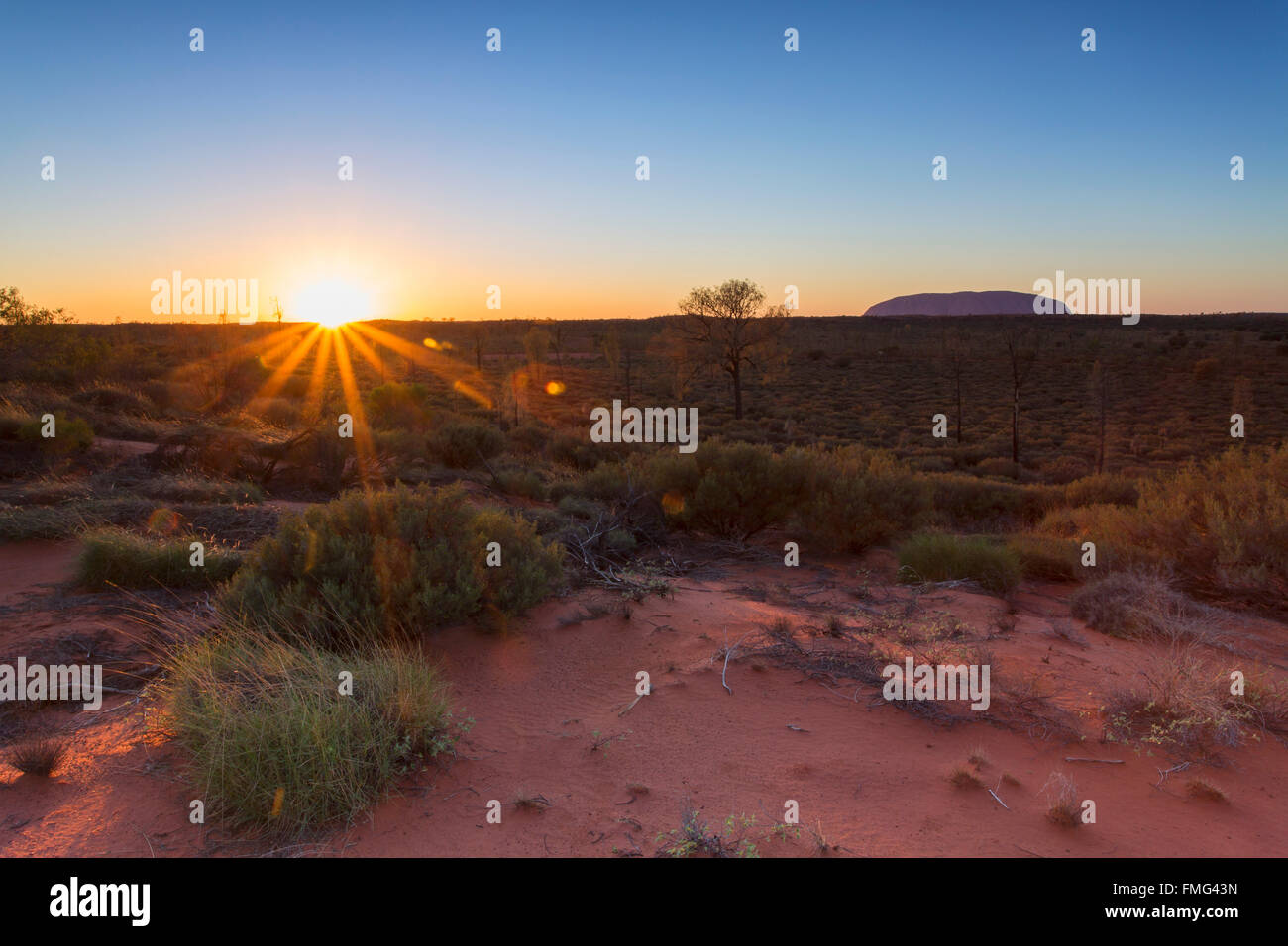 Uluru (Site du patrimoine mondial de l'Unesco) à l'aube, le Parc National d'Uluru-Kata Tjuta, Territoire du Nord, Australie Banque D'Images