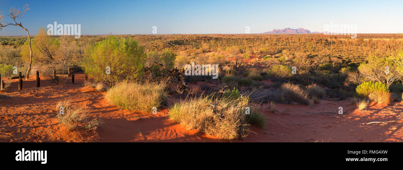 Kata Tjuta / les Olgas (Site du patrimoine mondial de l'UNESCO), Parc National d'Uluru-Kata Tjuta, Territoire du Nord, Australie Banque D'Images