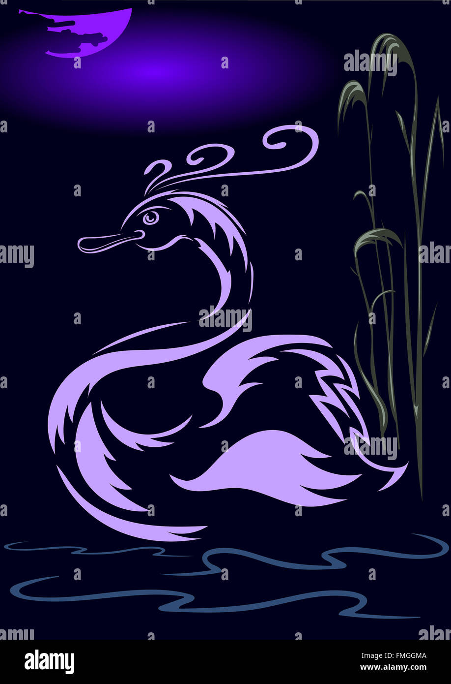 Swan ,étang de roseaux et de la lune Banque D'Images