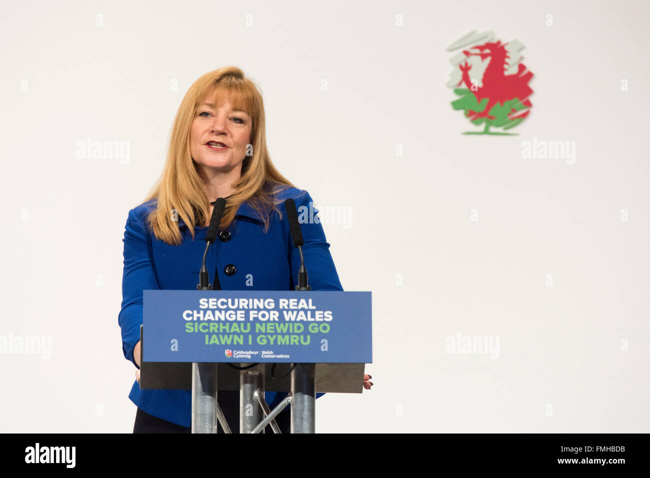 Kay Swinburne, prend la parole lors du congrès du parti conservateur gallois 2016 Banque D'Images