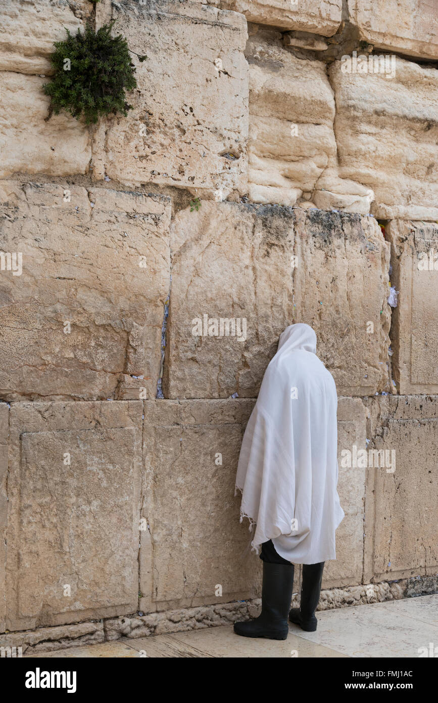 Juifs en prière au Mur occidental. Vieille ville de Jérusalem. Israël. Banque D'Images