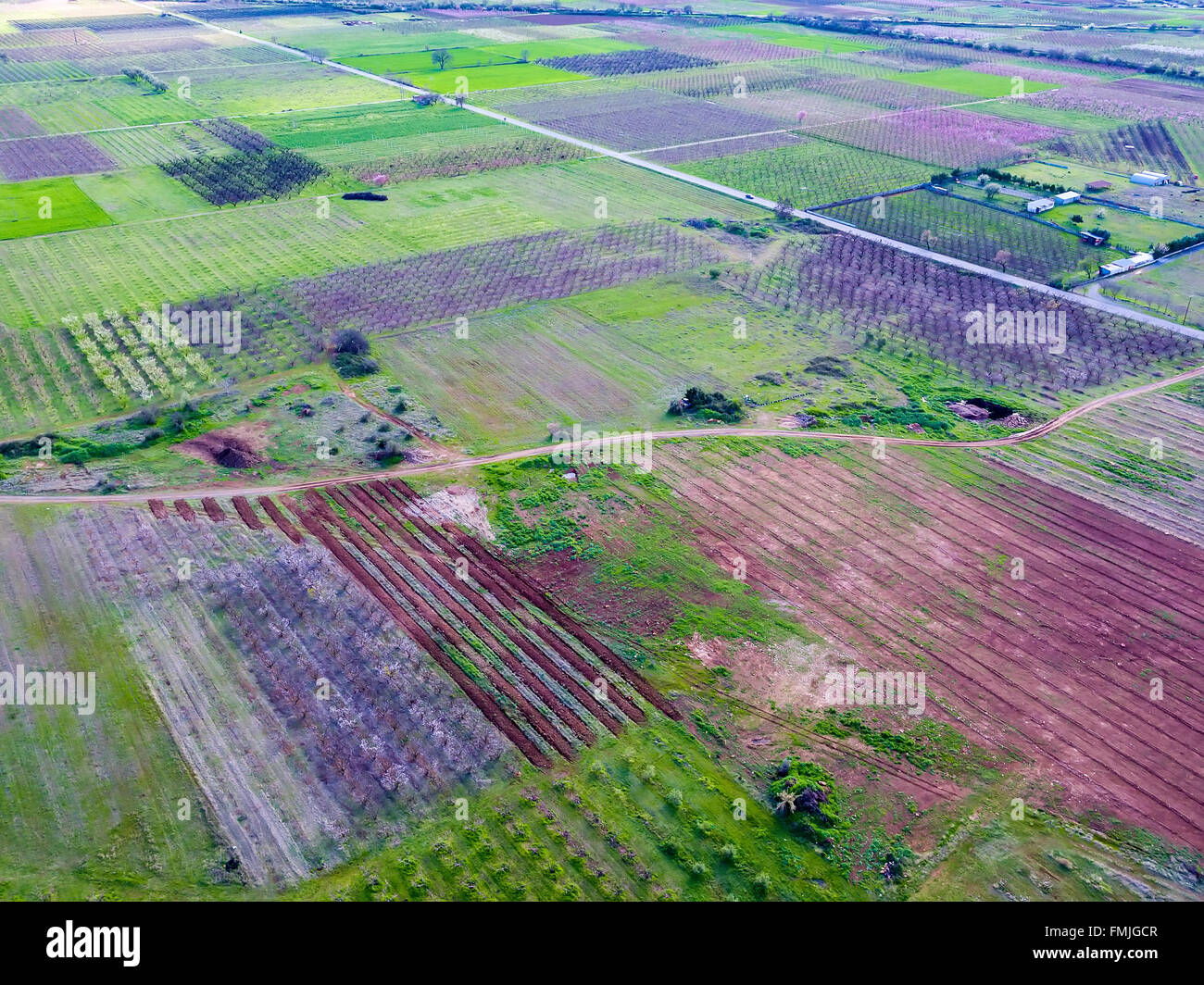 Vue aérienne sur les champs avec des arbres en fleurs. Vue aérienne avec drone Banque D'Images