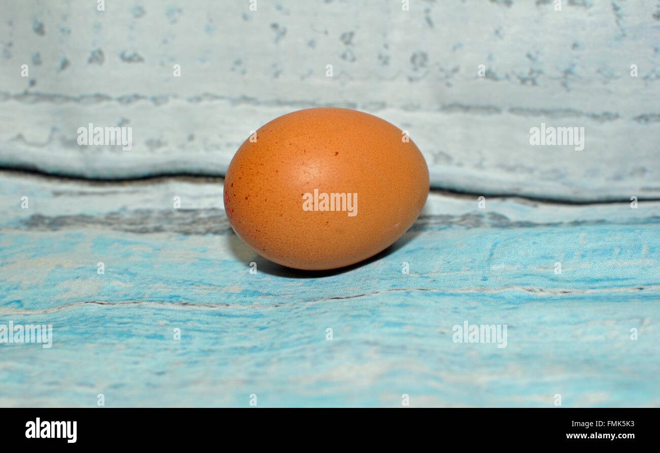 Oeuf de poule isolés Banque D'Images