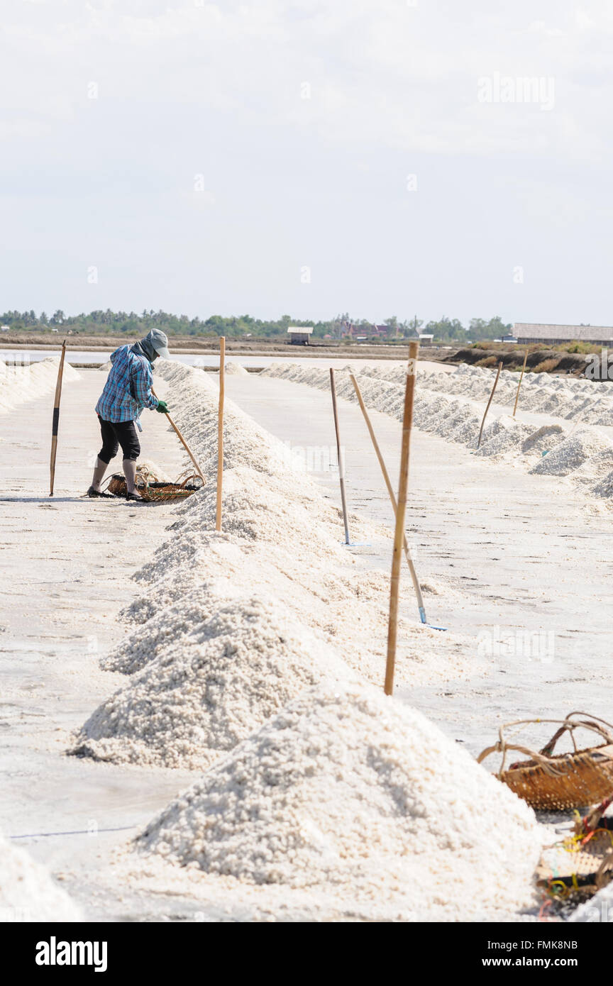 La récolte est agriculteur ferme sel, en Thaïlande. Banque D'Images