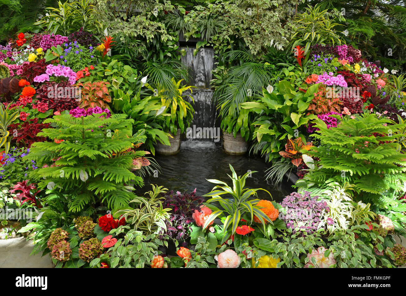 Jardin Tropical Banque De Photographies Et D images Haute R solution 